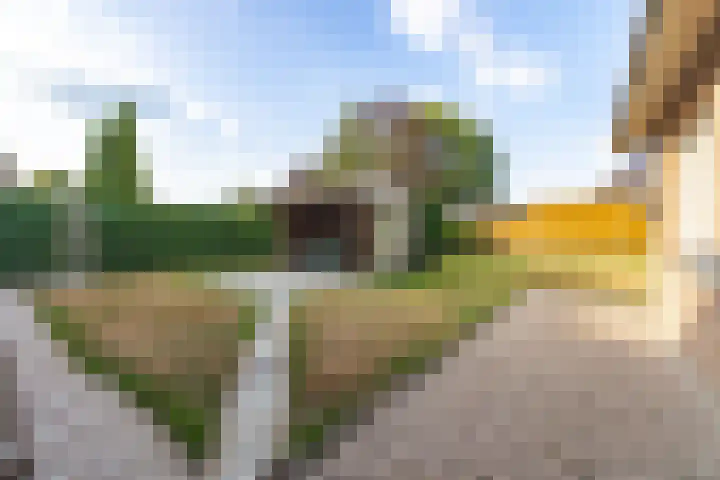 Boxtelseweg 7 a Liempde thumbnail 46