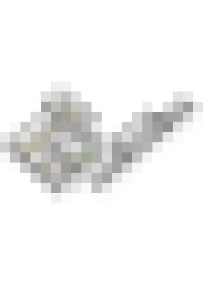 Boxtelseweg 7 a Liempde thumbnail 62