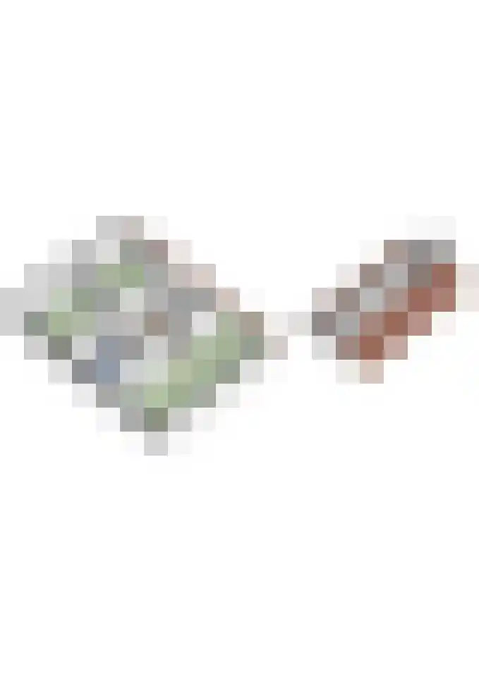 Boxtelseweg 7 a Liempde thumbnail 63