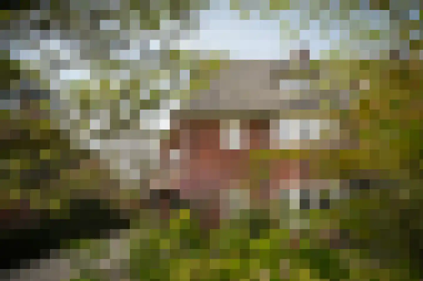 Boxtelseweg 8 en Vught