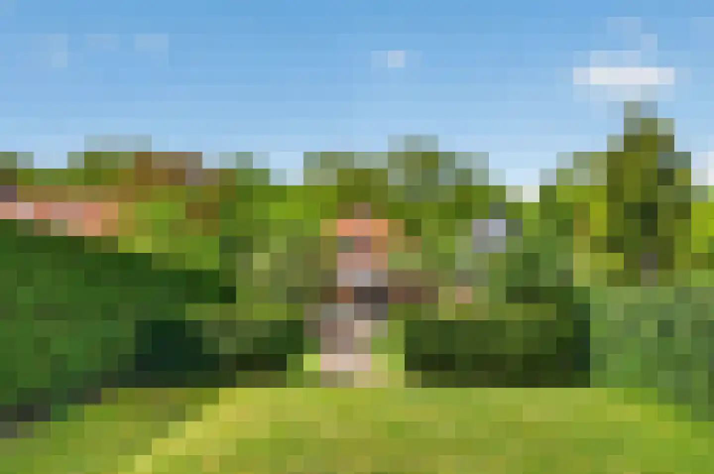 Boxtelseweg 87 Vught thumbnail 27
