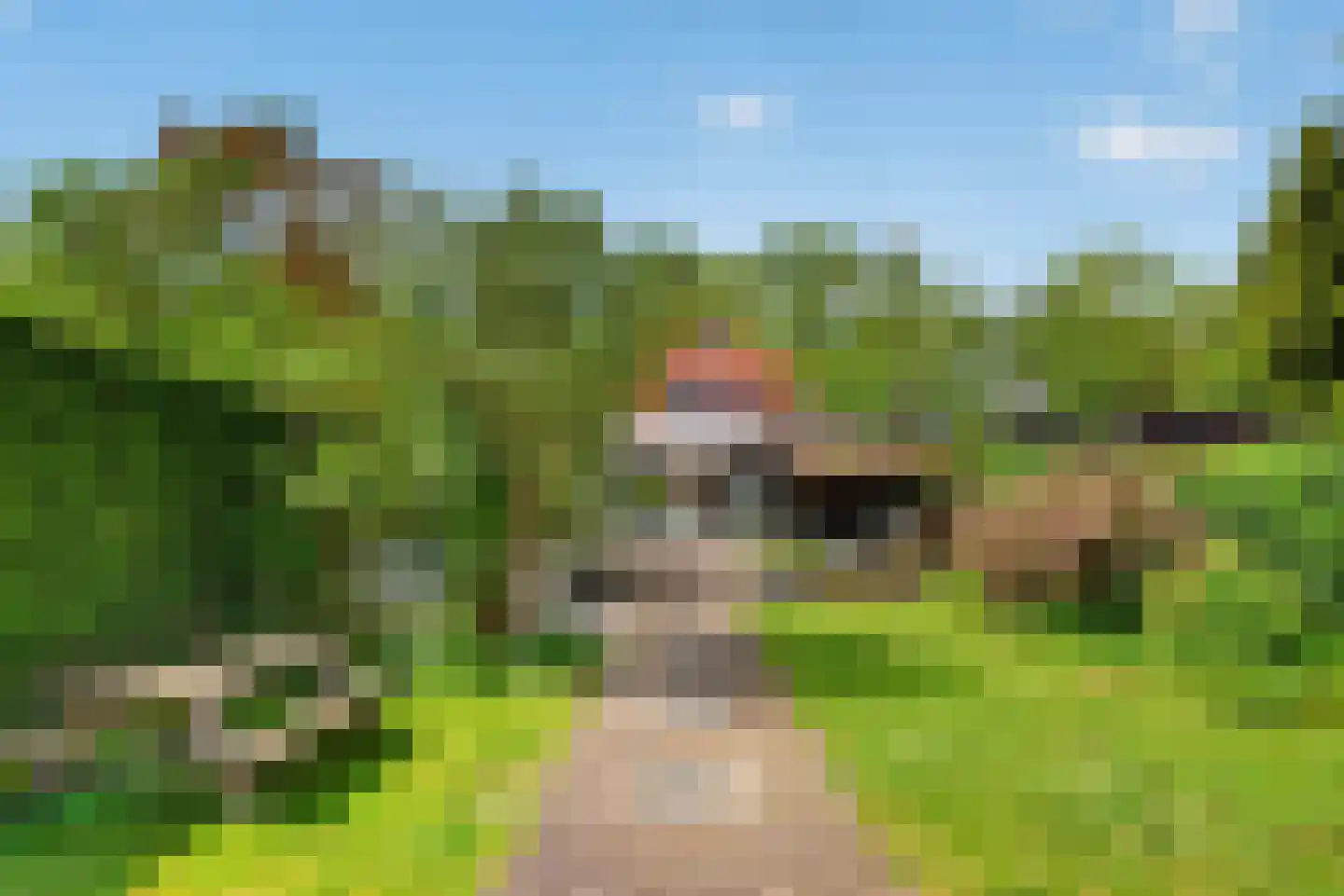Boxtelseweg 87 Vught thumbnail 29