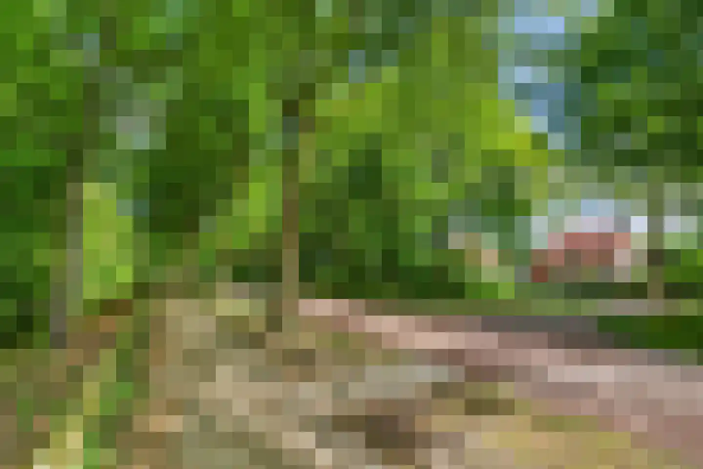Boxtelseweg 87 Vught thumbnail 54
