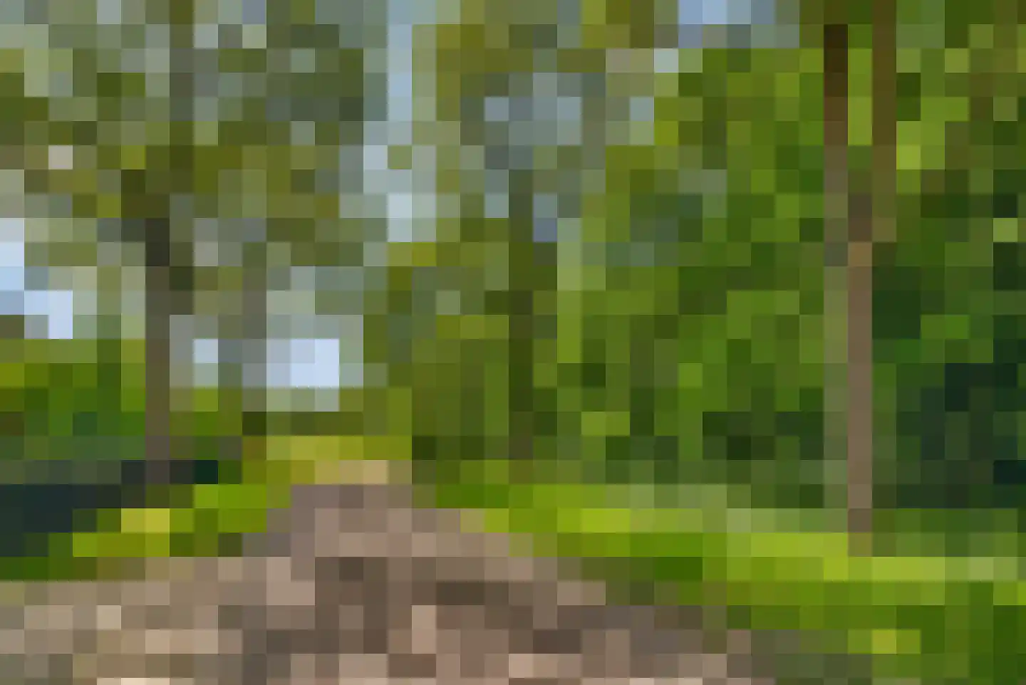 Boxtelseweg 87 Vught thumbnail 56