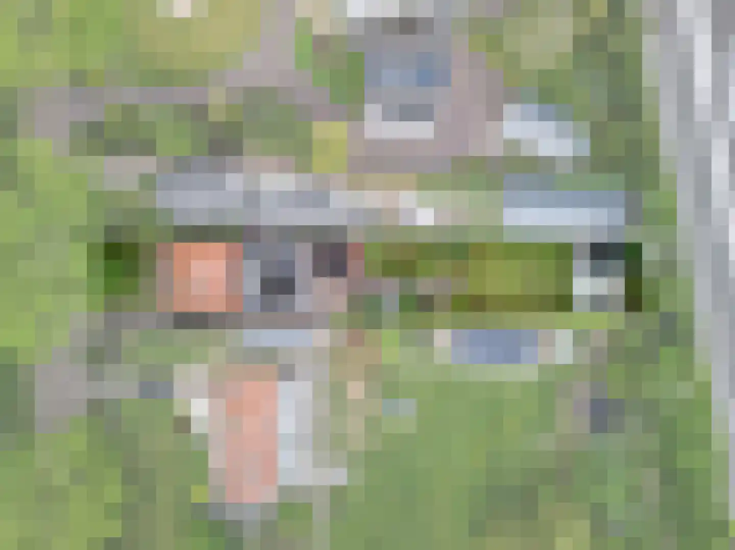 Boxtelseweg 87 Vught thumbnail 57