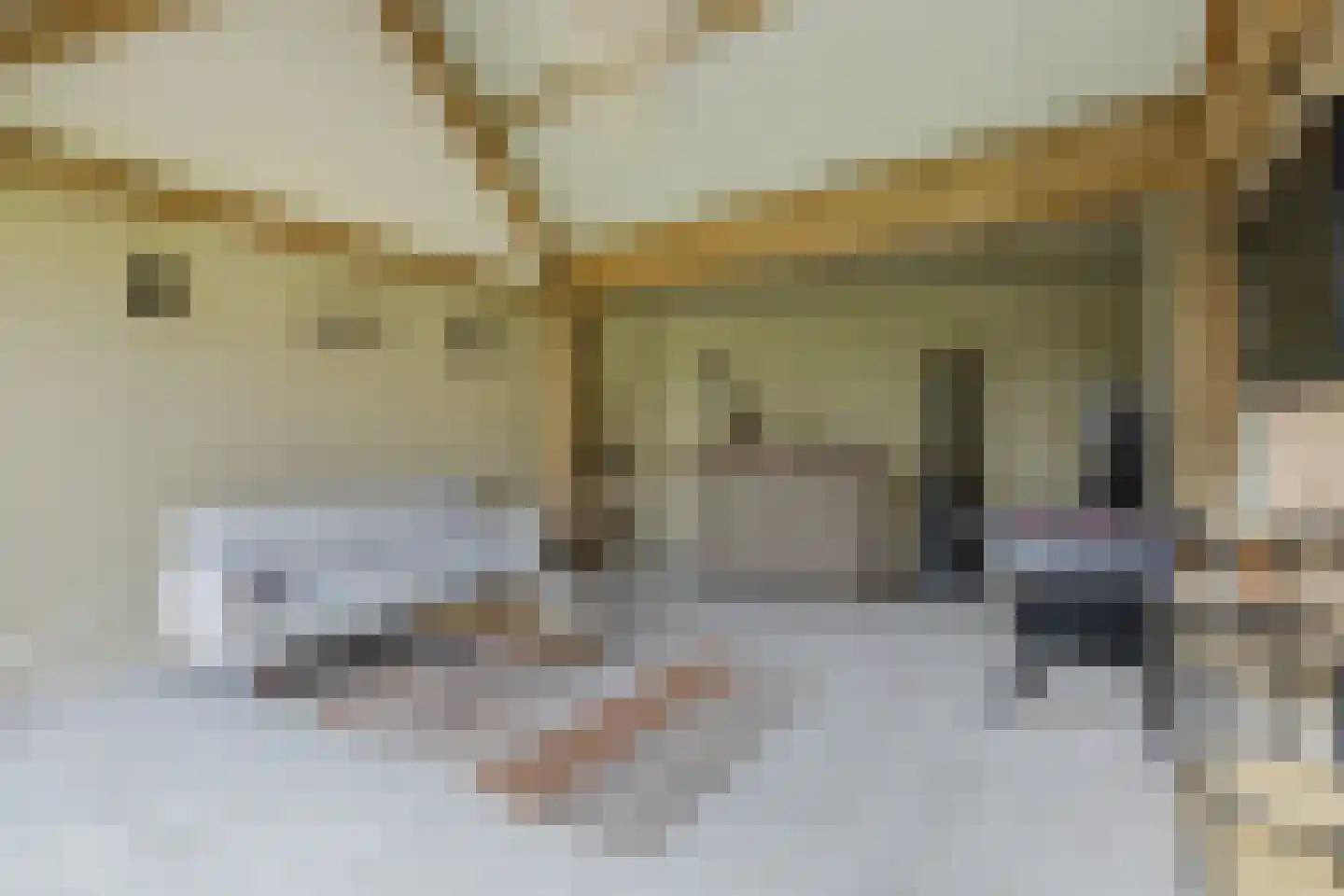 Boxtelseweg 9 Liempde thumbnail 69