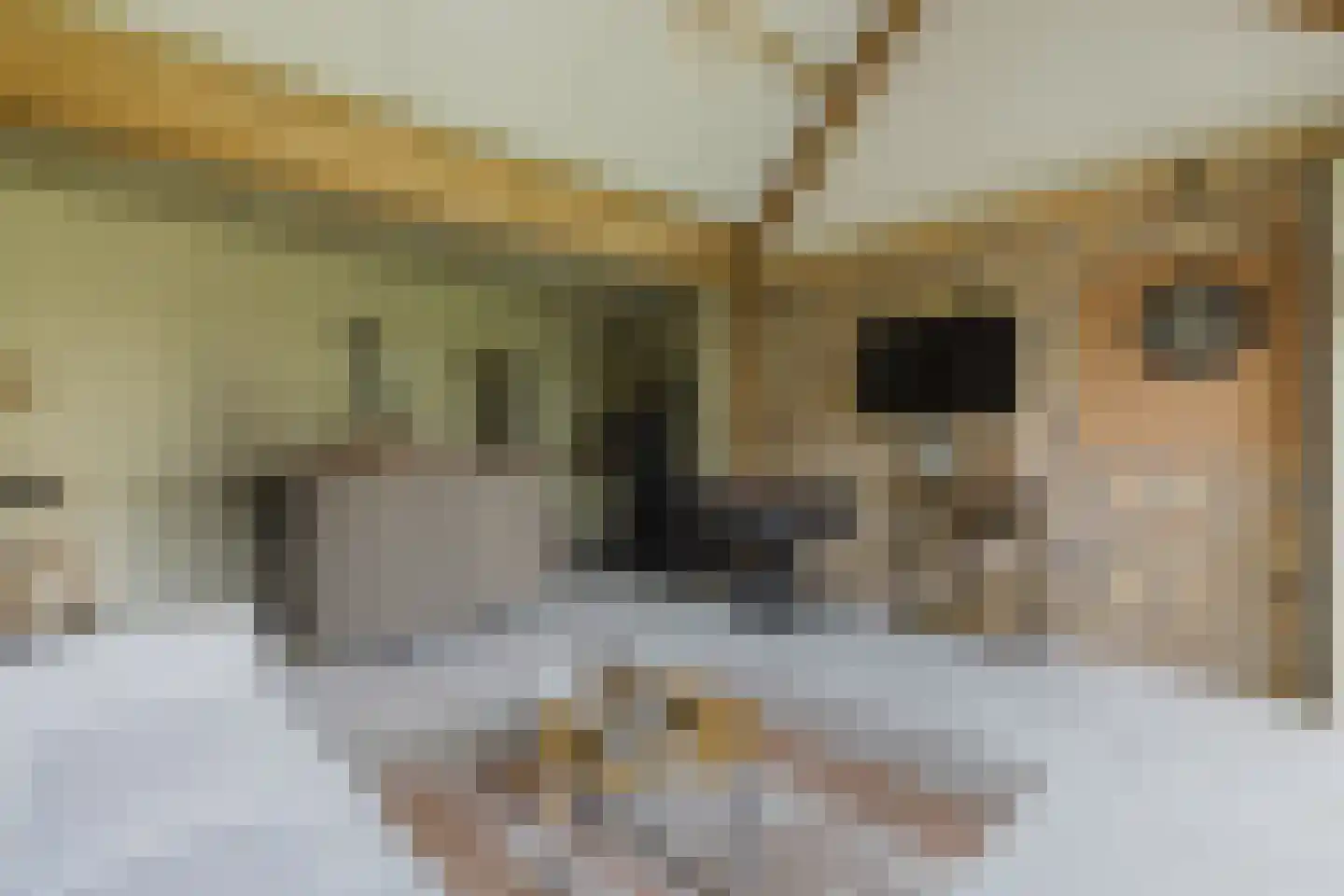 Boxtelseweg 9 Liempde thumbnail 71