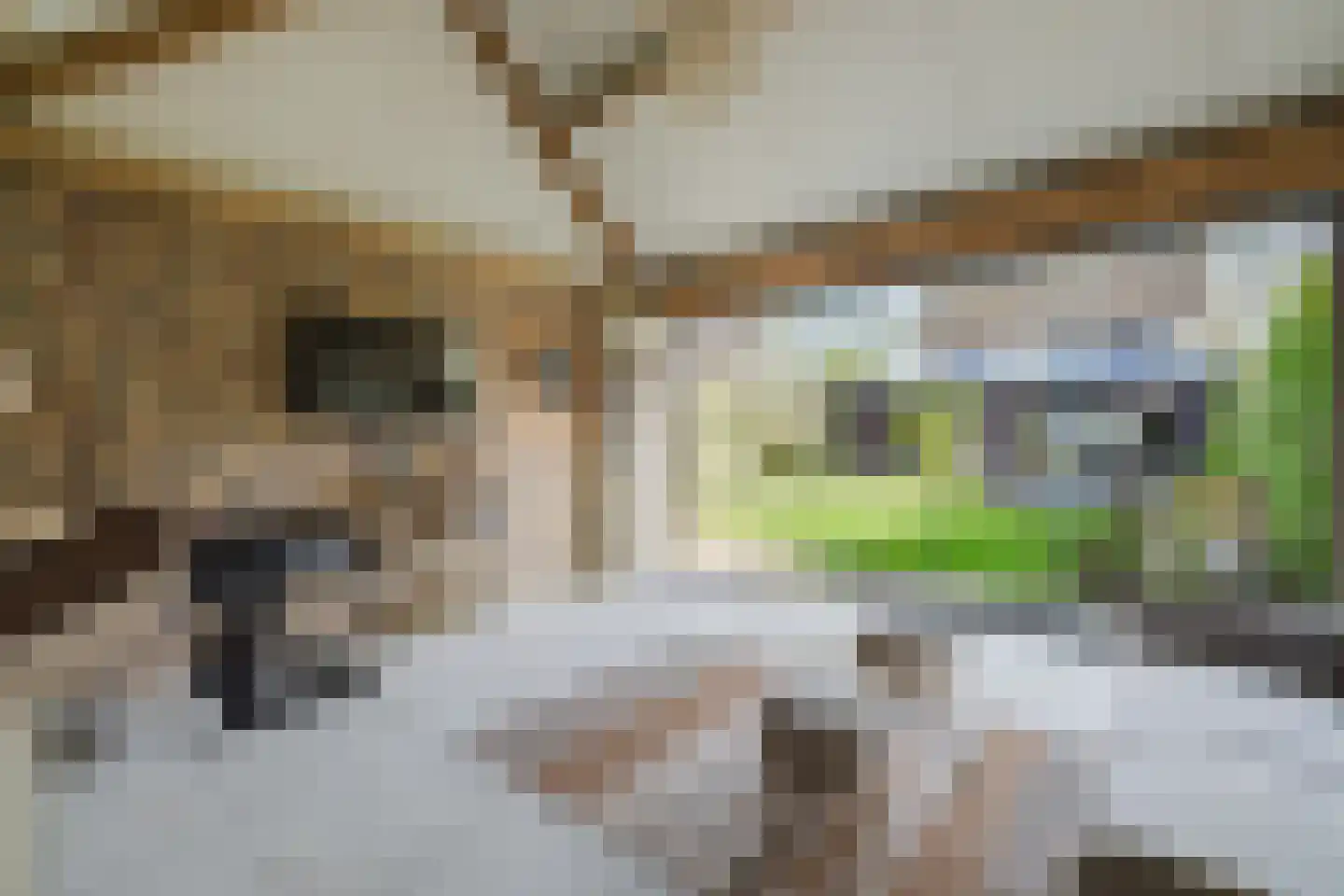 Boxtelseweg 9 Liempde thumbnail 72