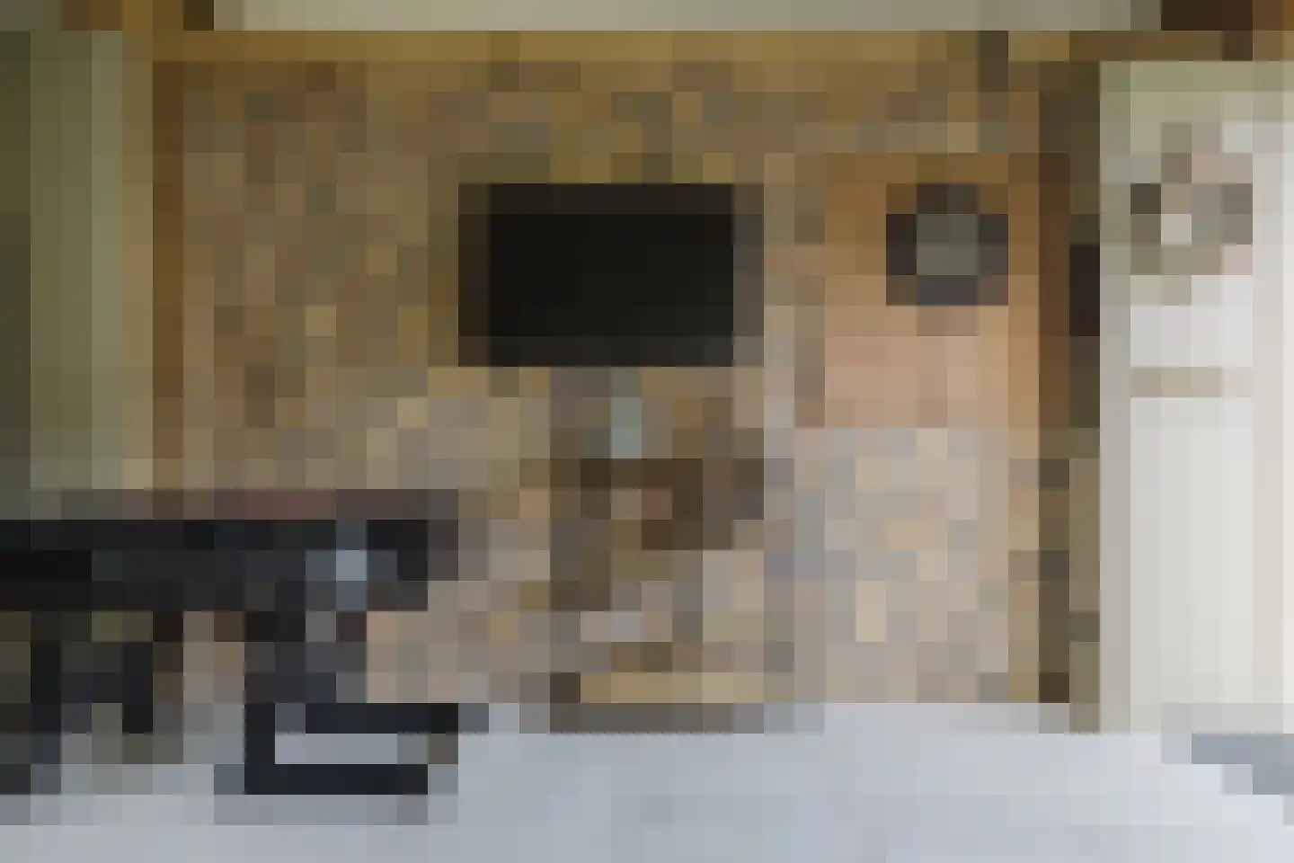 Boxtelseweg 9 Liempde thumbnail 73