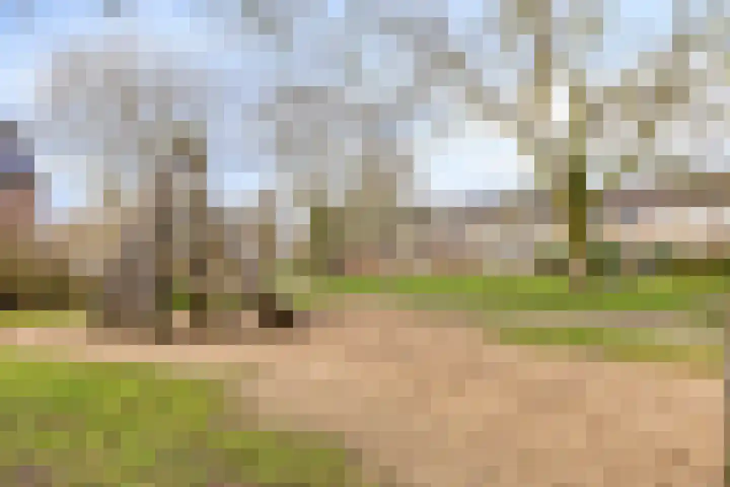 Boxtelstraat 2 Arnhem thumbnail 33
