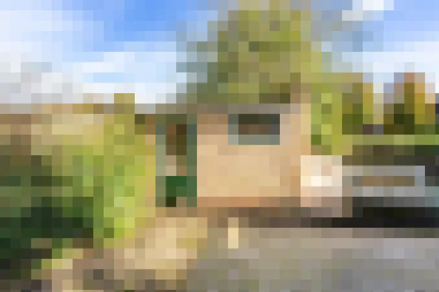 Boxwoudstraat 30 Hauwert thumbnail 20