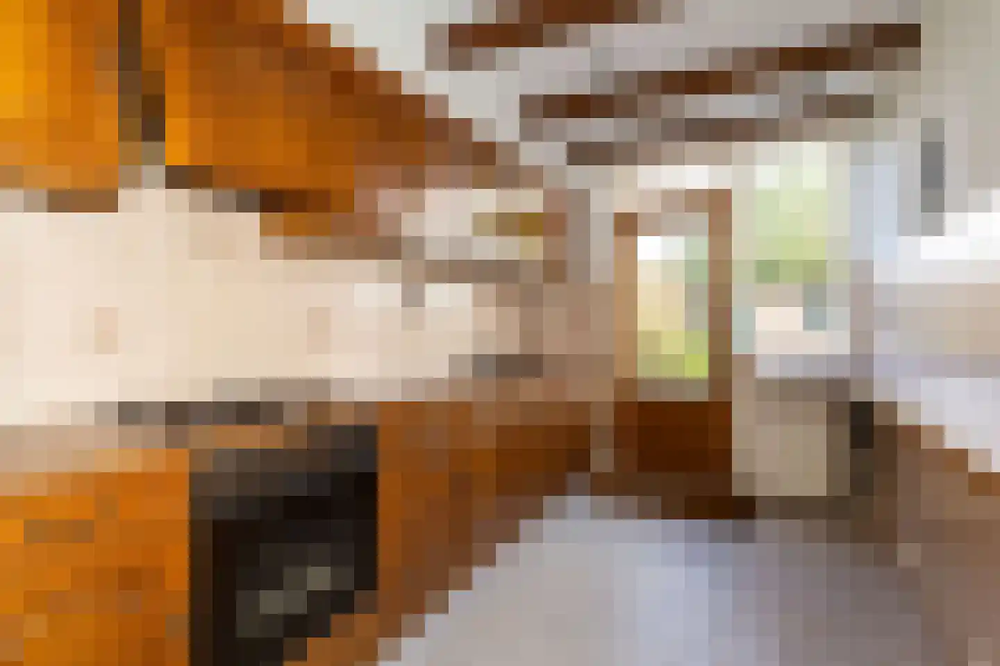 Boxwoudstraat 30 Hauwert thumbnail 8