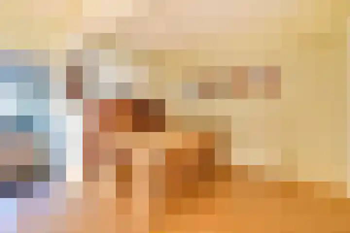 Boxwoudstraat 36 Hauwert thumbnail 12