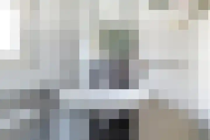 Boxwoudstraat 36 Hauwert thumbnail 28