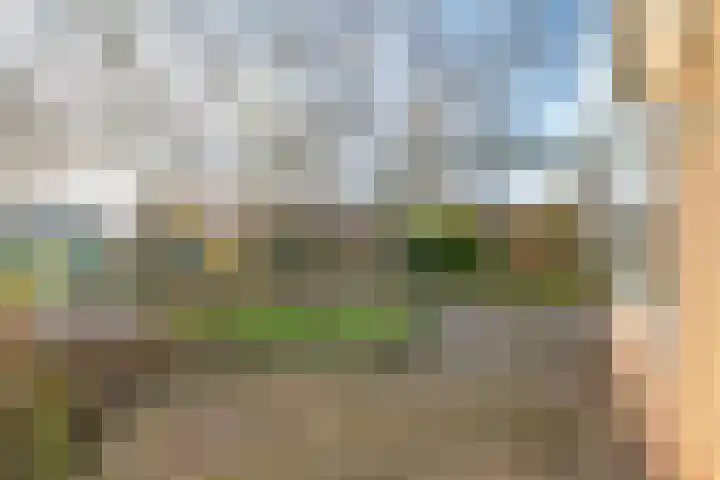 Boxwoudstraat 36 Hauwert thumbnail 36