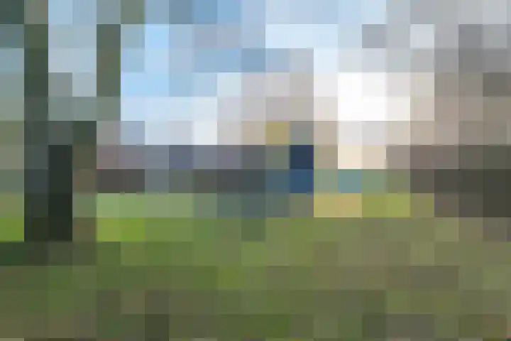 Boxwoudstraat 36 Hauwert thumbnail 44