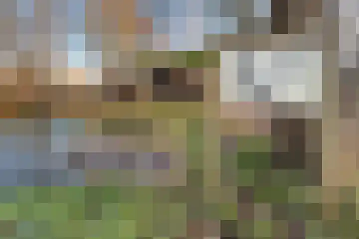 Boxwoudstraat 36 Hauwert thumbnail 47