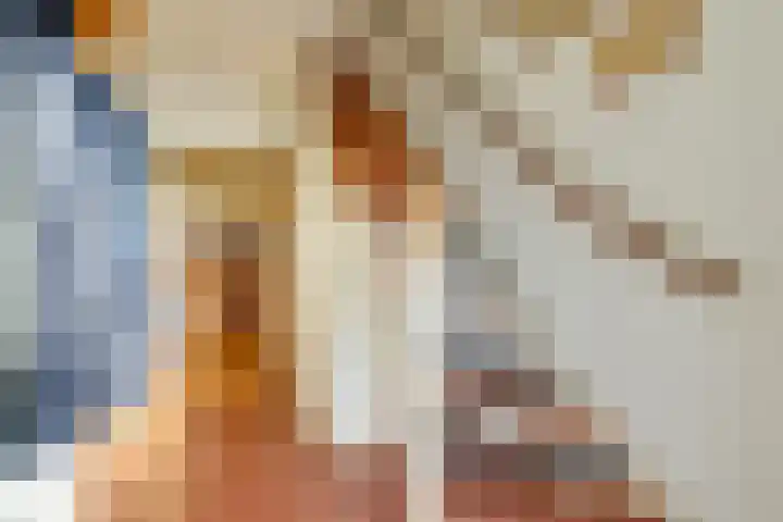 Boxwoudstraat 36 Hauwert thumbnail 7