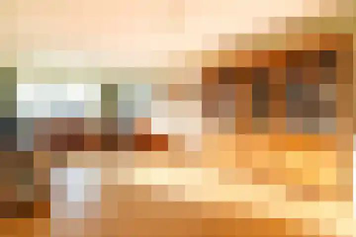 Boxwoudstraat 36 Hauwert thumbnail 9