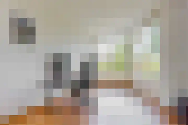 Boxwoudstraat 4 Hauwert thumbnail 11