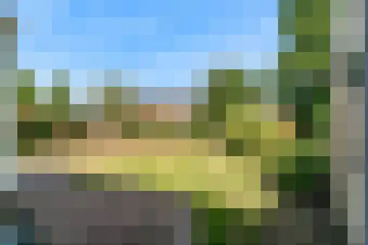 Boxwoudstraat 4 Hauwert thumbnail 24