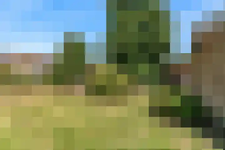 Boxwoudstraat 4 Hauwert thumbnail 25