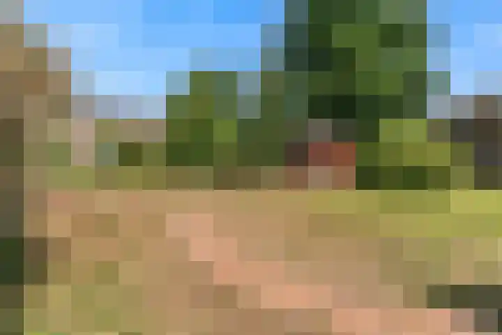 Boxwoudstraat 4 Hauwert thumbnail 26