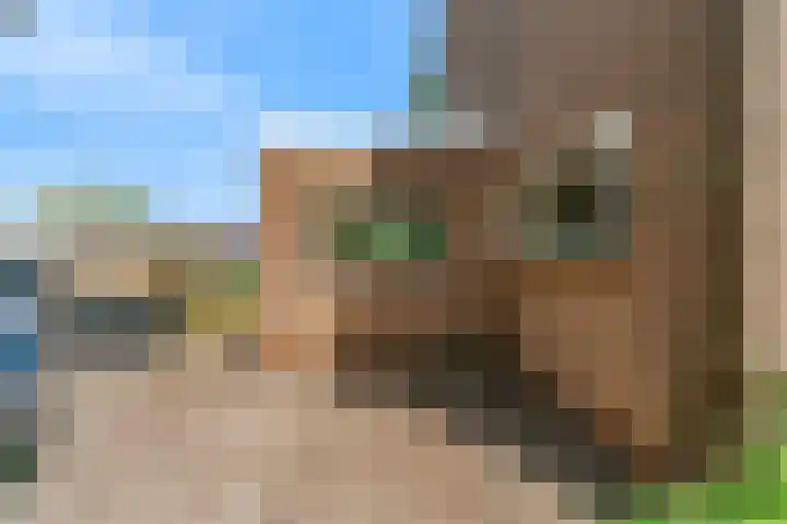 Boxwoudstraat 4 Hauwert thumbnail 28