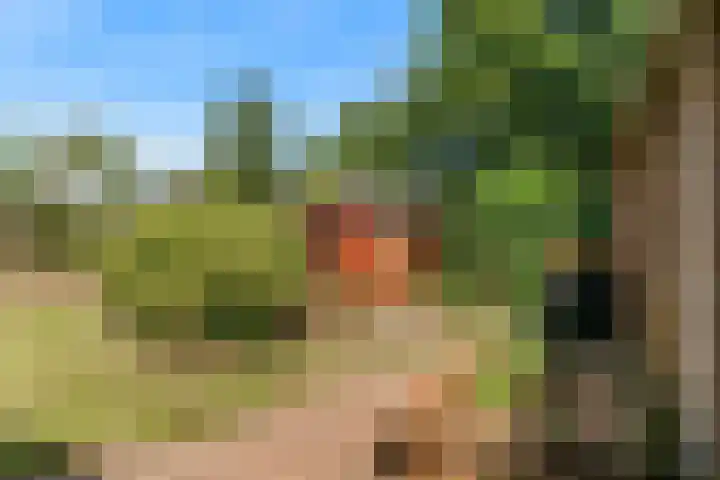 Boxwoudstraat 4 Hauwert thumbnail 32