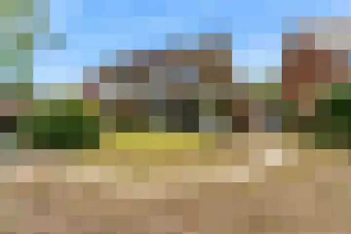 Boxwoudstraat 4 Hauwert thumbnail 4