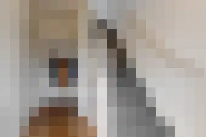 Boxwoudstraat 4 Hauwert thumbnail 6