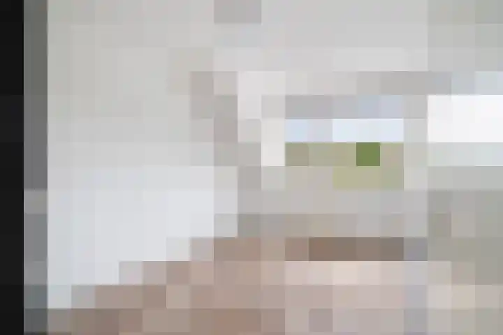 Boy Edgarstraat 247 Rotterdam thumbnail 21