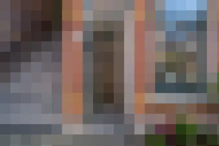 Boylestraat 32 Den Haag thumbnail 5