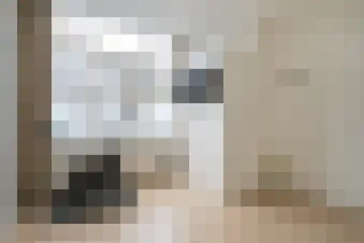 Boylestraat 5 Den Haag thumbnail 31