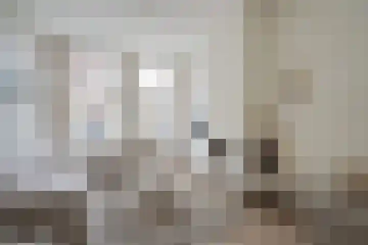 Boylestraat 5 Den Haag thumbnail 9