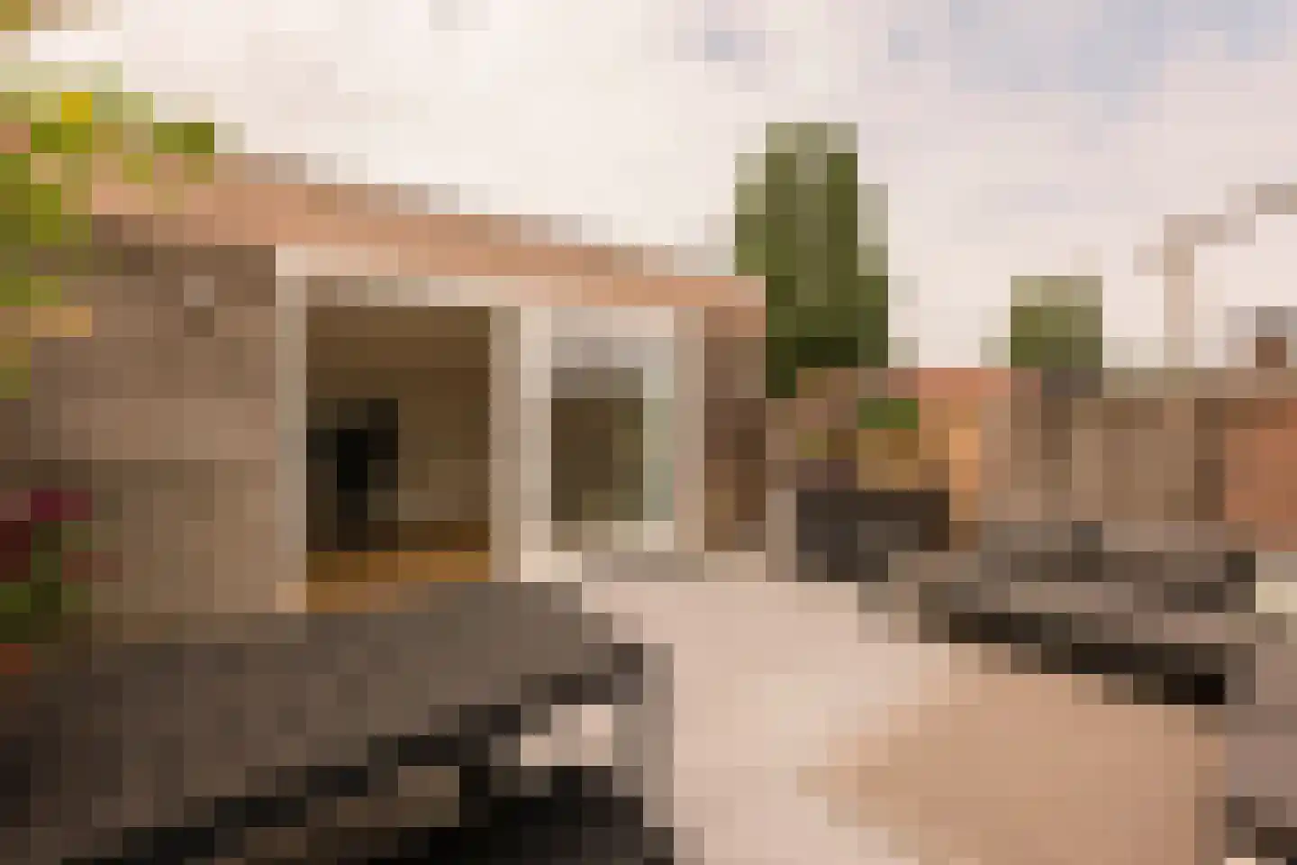 Boylestraat 9 Amsterdam thumbnail 32