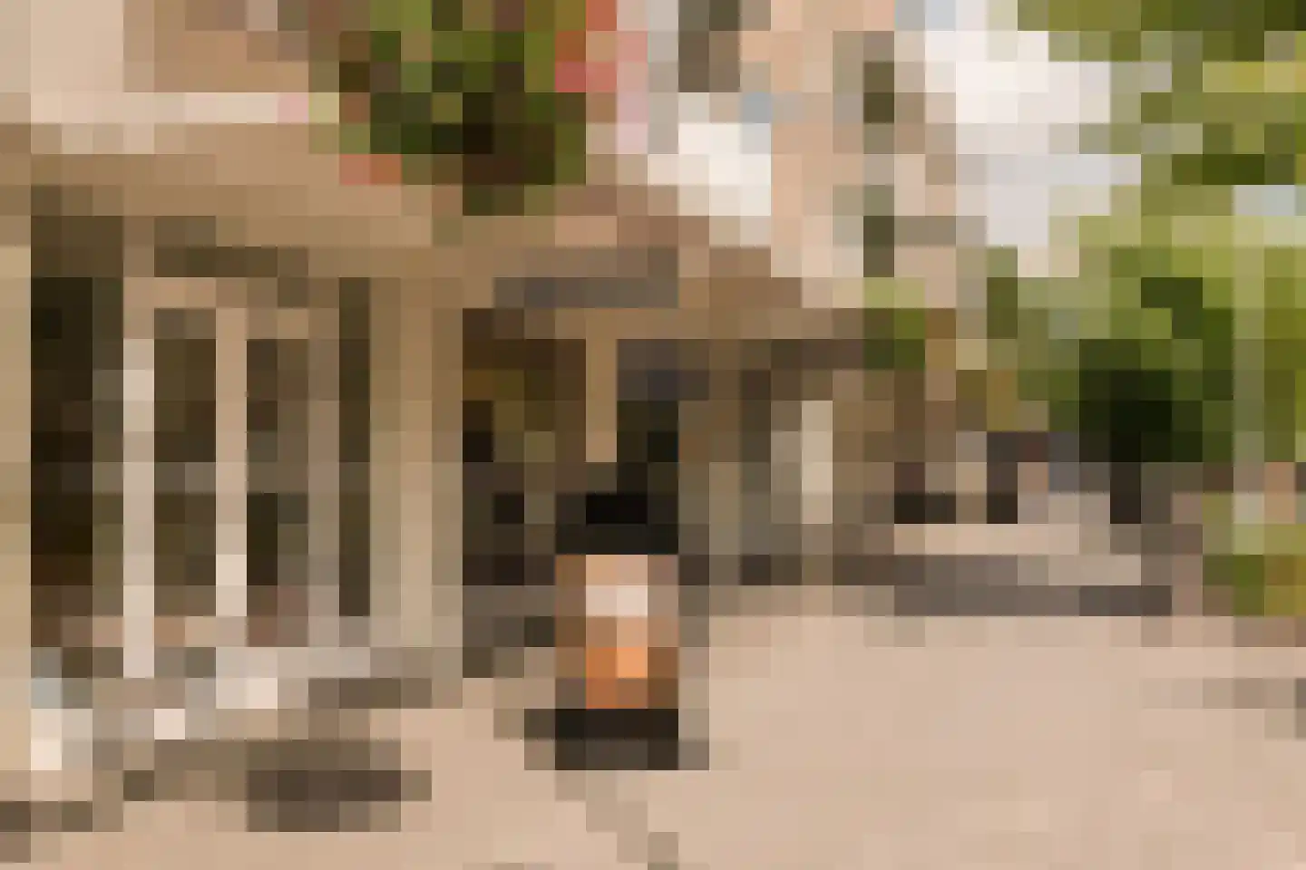 Boylestraat 9 Amsterdam thumbnail 37