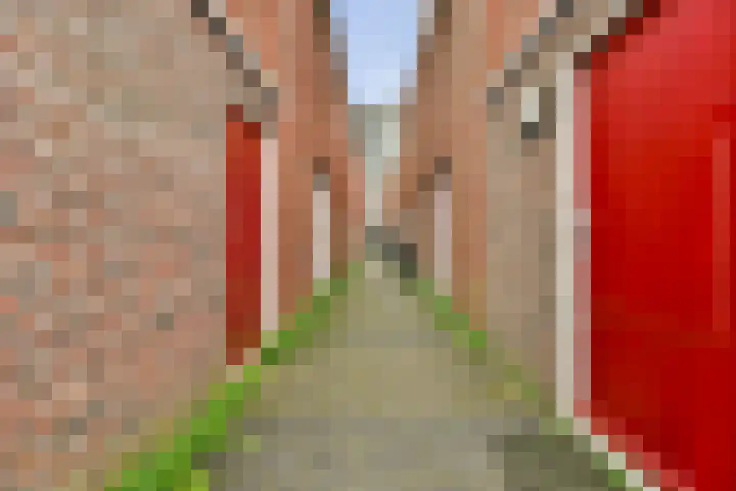 Boymansweg 139 Amsterdam thumbnail 27