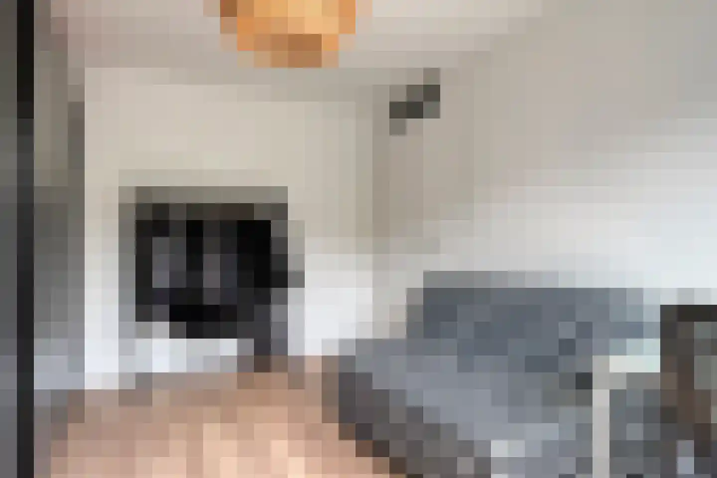 Boymansweg 63 Amsterdam thumbnail 17