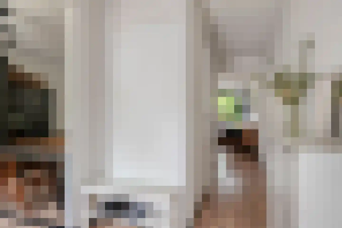 Boymansweg 63 Amsterdam thumbnail 8