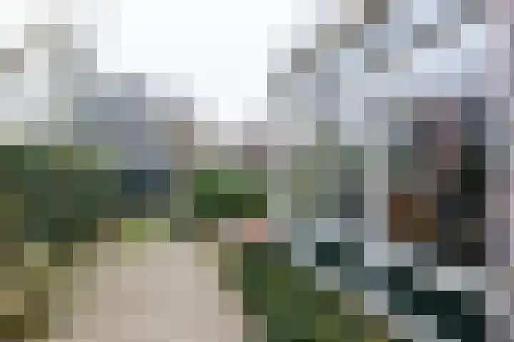 Bozenhoven 120 Mijdrecht thumbnail 31