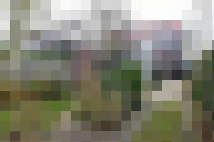 Bozenhoven 120 Mijdrecht thumbnail 32