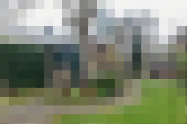 Bozenhoven 120 Mijdrecht thumbnail 33