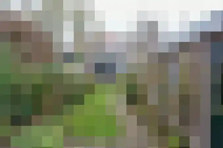 Bozenhoven 120 Mijdrecht thumbnail 35