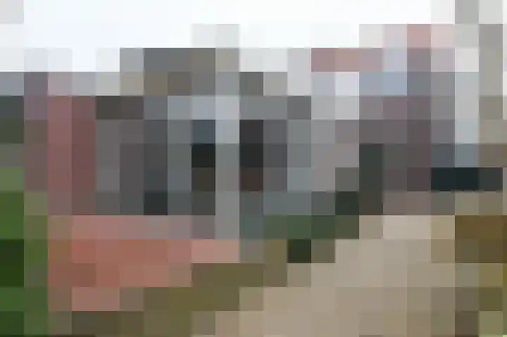 Bozenhoven 120 Mijdrecht thumbnail 36