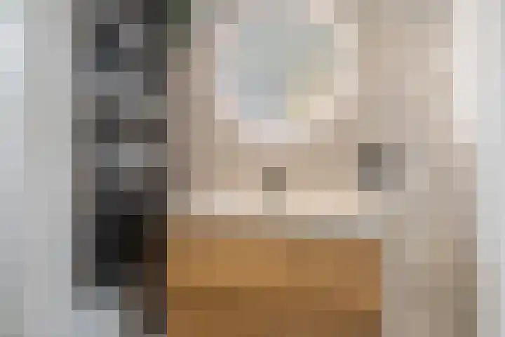 Br Christofoorlaan 10 Oudenbosch thumbnail 37