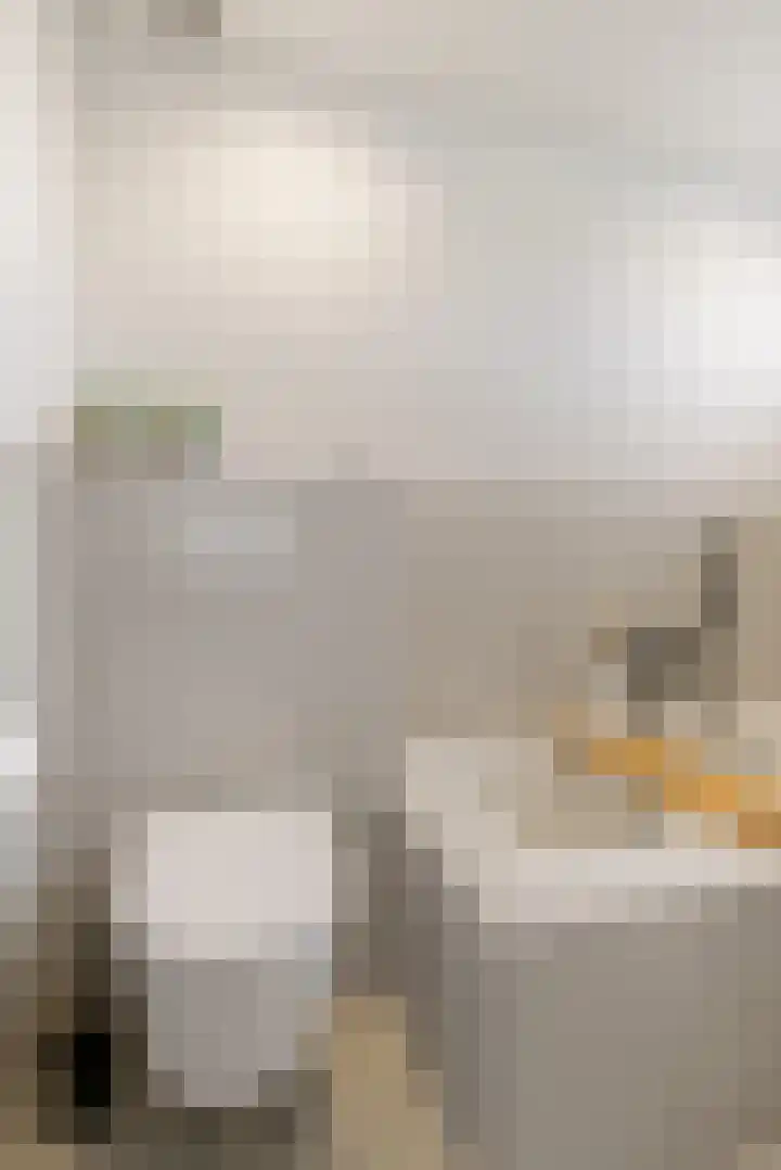 Br Christofoorlaan 10 Oudenbosch thumbnail 38