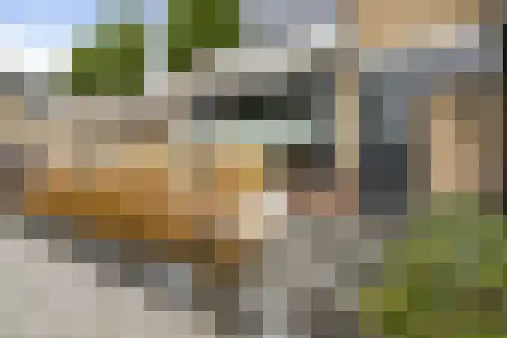 Br Christofoorlaan 10 Oudenbosch thumbnail 9