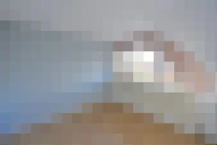 Braadkamp 7 Eemnes thumbnail 7