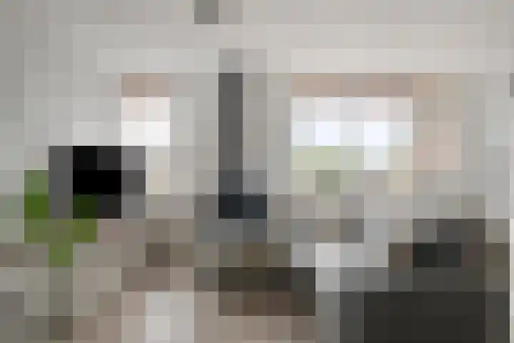 Braak 108 Veldhoven thumbnail 12